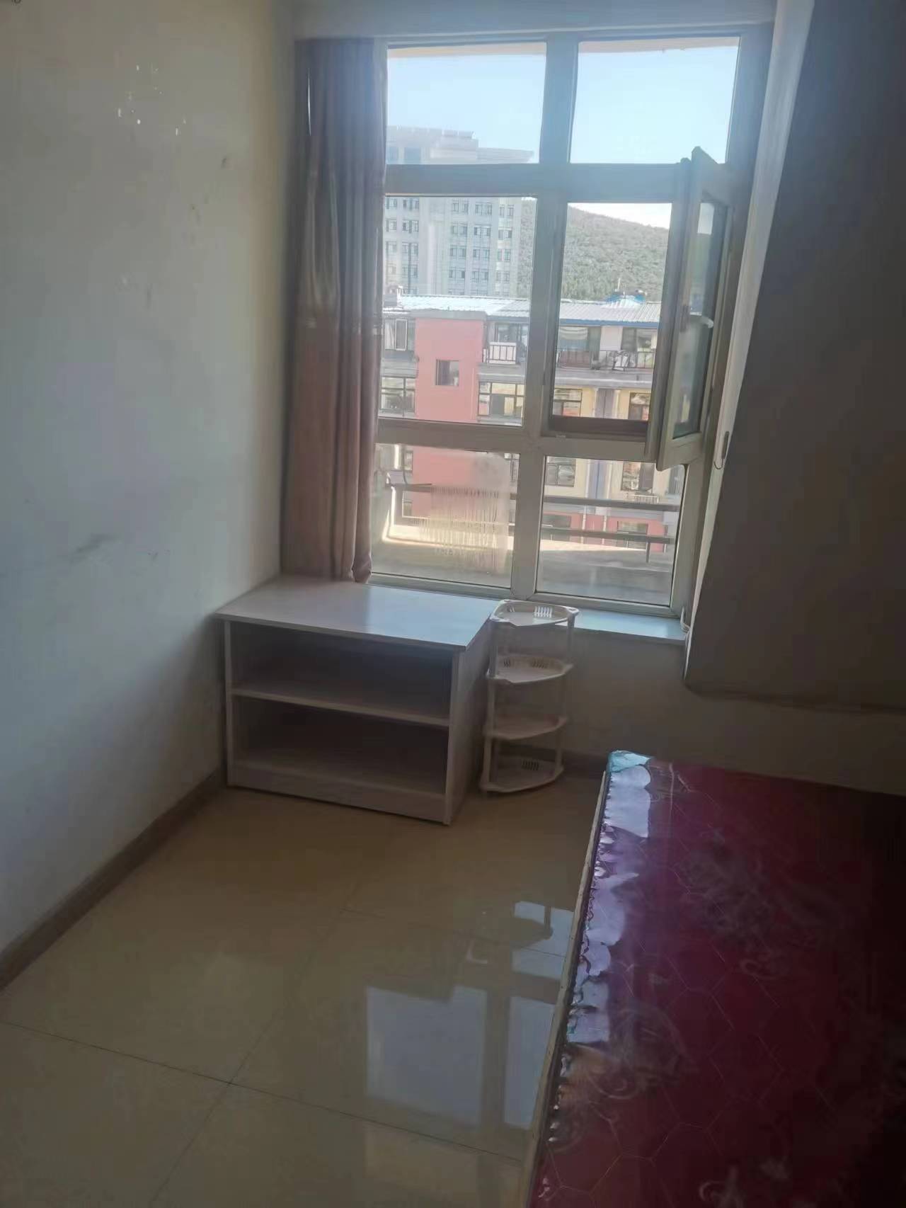 阿城最新房屋出租，家的温馨与奇遇的友情之旅