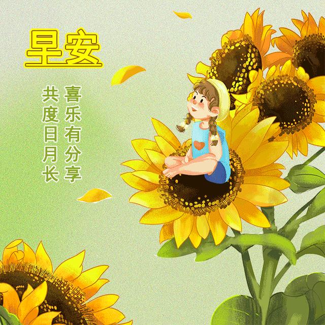 应急预案 第185页