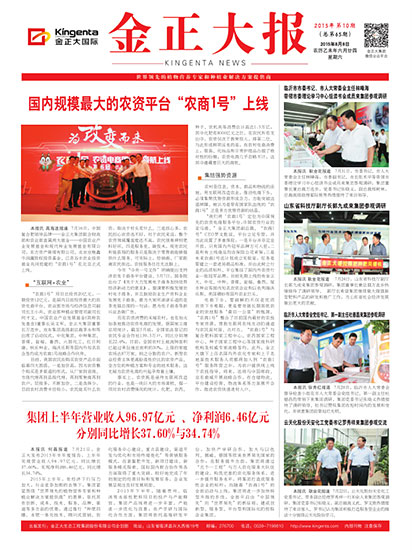 金正大招聘网最新招聘信息及小巷特色小店探索！
