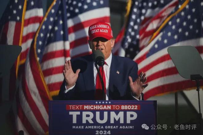 美国大选最新结果揭晓，解读与观点分析
