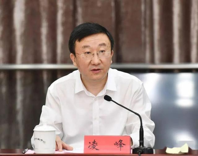 广西苏局长最新动态更新，最新情况分析报告