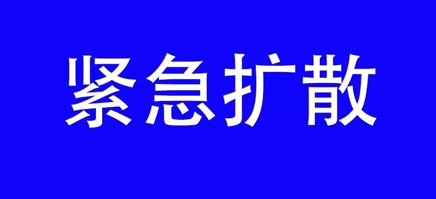 信阳紧急情况更新，小巷深处的隐藏瑰宝揭秘