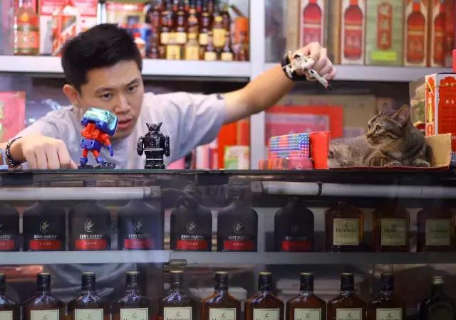 欧阳靖美国说唱比赛，跨文化的音乐盛宴体验与观察