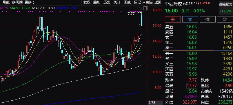 中远海控股票投资价值深度解析