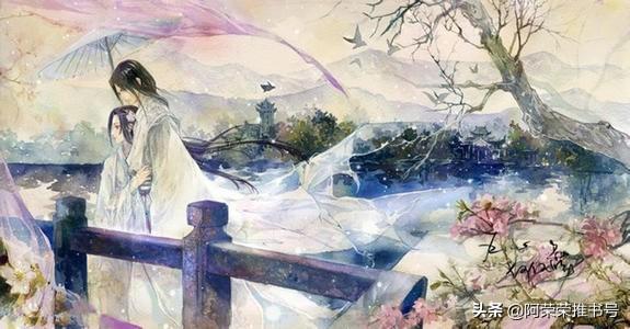 沧月小说最新动态，奇幻世界魅力之旅的探索