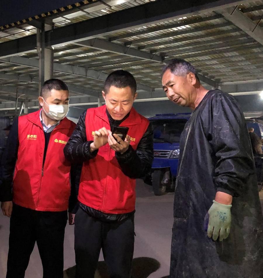 昌邑大姜行情揭秘，故事背后的温馨与市场动态
