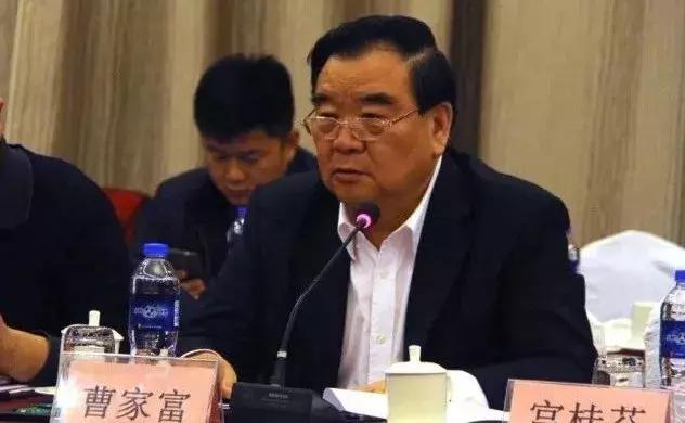 今日水禽网鸭产品行情概览与分析