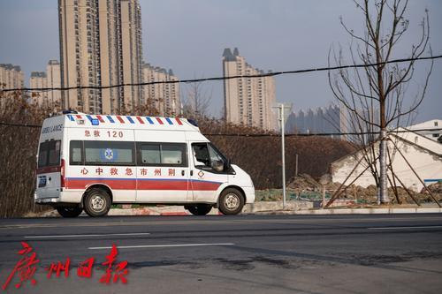 武汉新增确诊背后的故事，小巷深处的神秘小店揭示真相