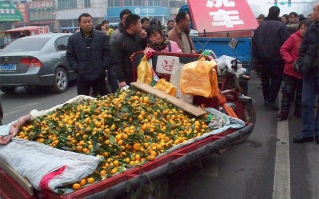 莲藕市场遇冷，行业变迁与未来前景探析