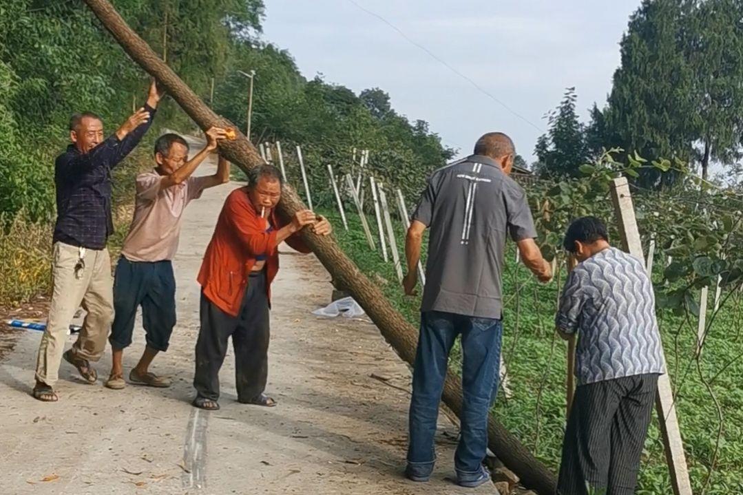 东莞压铸环评 第42页