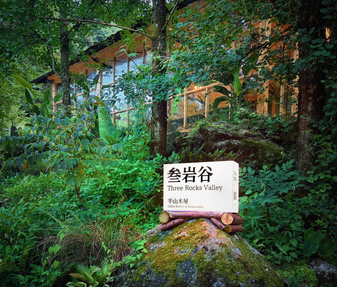 泰木谷使用指南，从初学者到进阶用户的全面指南