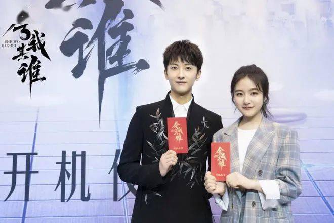 舍我其谁演员表深度解析，角色与演技探究