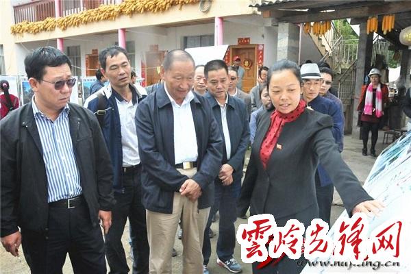 云南罗正富最新动态概览，最新指南与进展