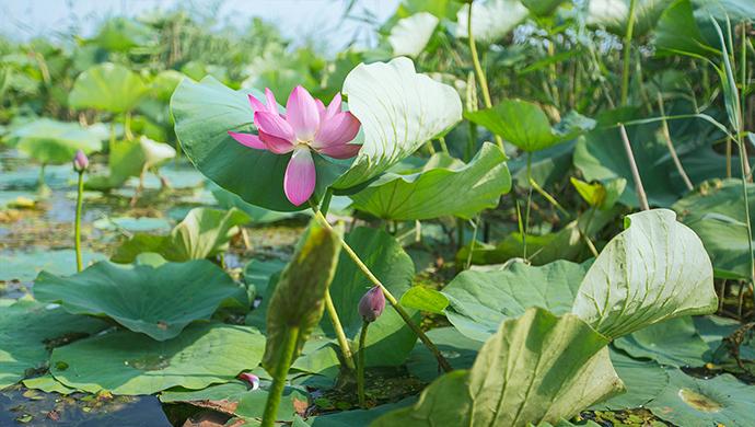 尤柔美最新变化，自信与成就感的源泉，展现力量的魅力