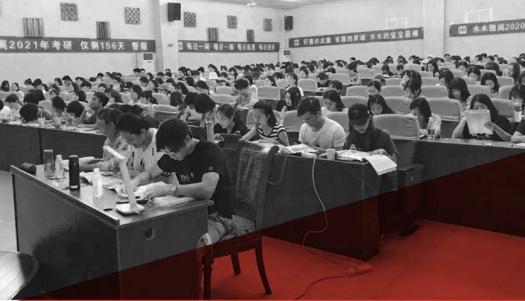 鲁美最新动态，时代脉搏与艺术共鸣的交响